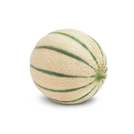 MELON CHARENTAIS VAL DE SERIGNY 12PCS